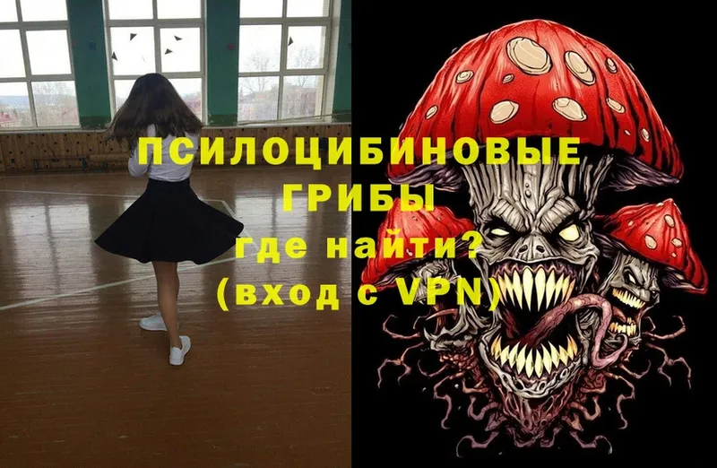 kraken ССЫЛКА  Володарск  Галлюциногенные грибы Psilocybe  сколько стоит 